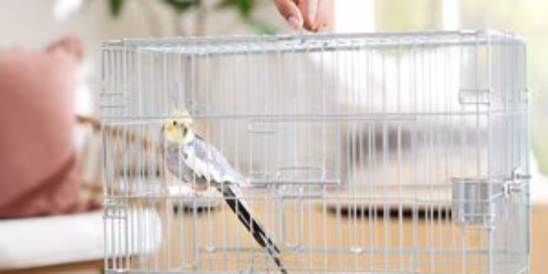 Top 10 Best Bird Cages of 2026